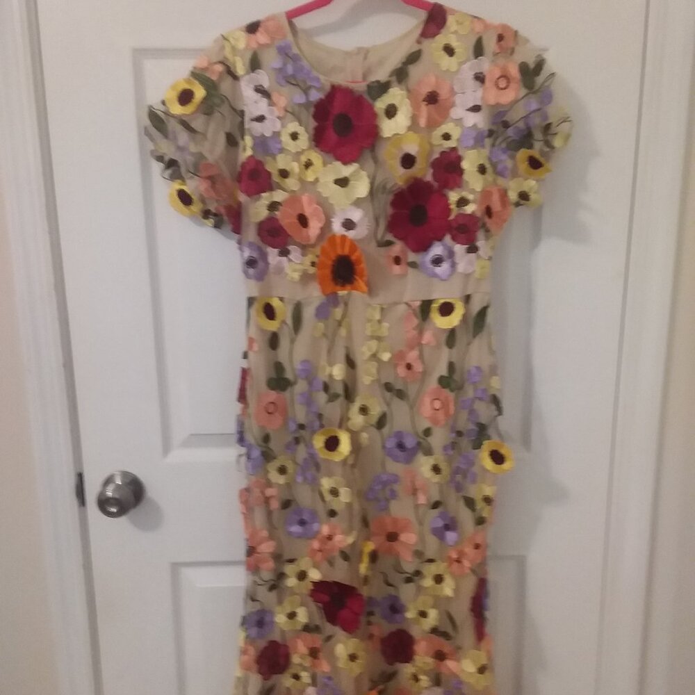 NWOT gorgeous chiffon dress with colorful 3D flowers  women's large